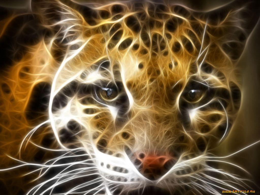 3, , animals, 